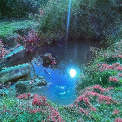 Water Fairy, Ethereal Aesthetic, Mermaid Aesthetic, Fairy Aesthetic, Pretty Landscapes, Breath Of The Wild, Nature Aesthetic, Pretty Places, Fantasy Landscape