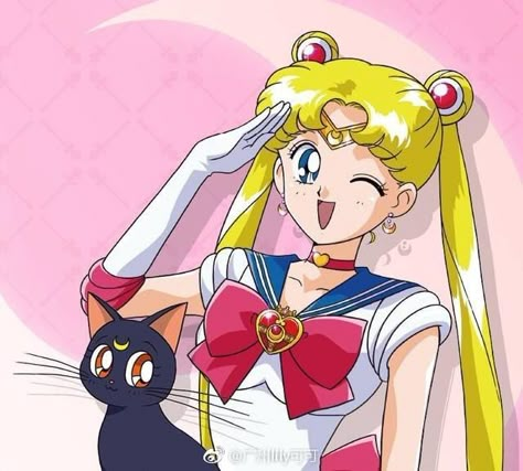 Sailor Moon With Luna, Sailor Moon And Luna, Moon Jacket, Powerpuff Girls Characters, Sailor Guardians, Magical Girl Aesthetic, Sailor Moon Girls, Arte Sailor Moon, Sailor Moon Stars