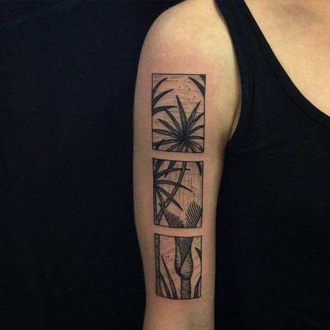 Frame Tattoo Design Square, Rectangular Tattoo, Foliage Tattoo, Scenery Tattoo, Square Tattoo, Framed Tattoo, Cactus Tattoo, Instagram Username Ideas, Explore Tattoo