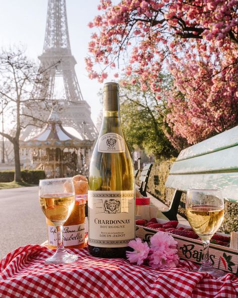 A park bench picnic on the Right Bank 🇫🇷 ? White Wine Grapes, Wine Grape, Chardonnay Wine, Champagne France, Airplane Drawing, France Aesthetic, Wine Education, Wine Drinkers, Wine Travel