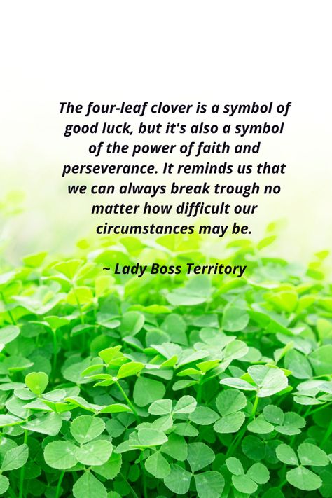 Close-up photo of multiple four leaf clovers 🍀 Clover Symbol Meaning, Four Leaf Clover Meaning, 4 Leaf Clover Quotes, 4 Leaf Clover Meaning, Four Leaf Clover Quotes, Four Leaf Clover Aesthetic, Irish Notes, Four Clover Leaf, Clover Meaning