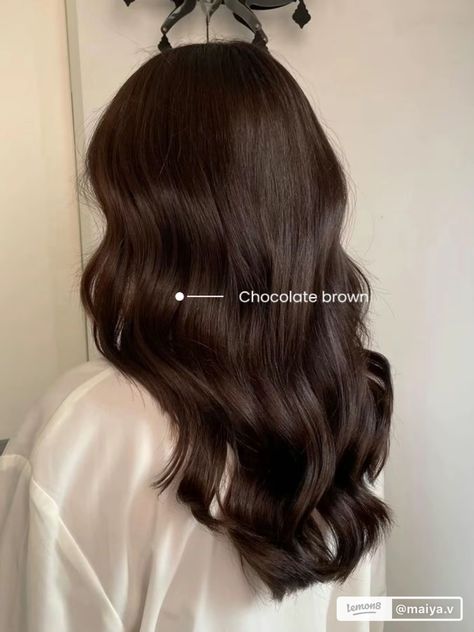 Chocolate Brown Brunette Hair, Chocolate Hair Medium Length, Caramel Latte Brunette, Chocolate Mousse Hair Color, Chocolate Brown Hair On Tan Skin, Matcha Chocolate Hair Color, Classy Brunette Hair, Rich Ash Brown Hair, Glossy Dark Brown Hair