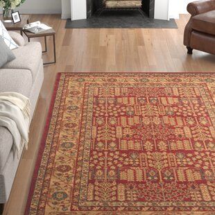 Green Cottage Living Room, Red Shag Rug, Rug Gripper, Patterned Rug, Safavieh Rug, Burgundy Rugs, Red Colour Palette, Dining Room Colors, Rugs Uk