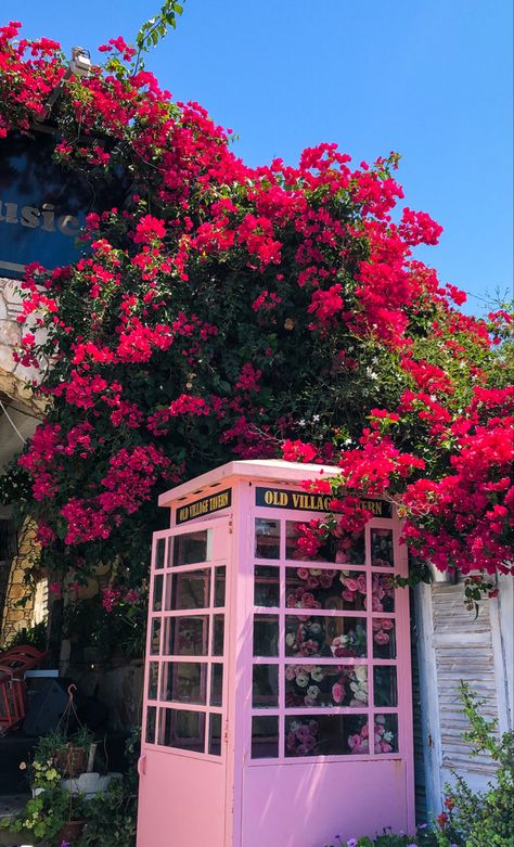 #cyprus #ayianapa #rose #vibes Agia Napa Cyprus, Cyprus Aesthetic Ayia Napa, Ayia Napa Aesthetic, Best Places In Cyprus, Cyprus Aesthetic, Ayia Napa Cyprus, Cyprus Holiday, Cyprus Travel, Visit Cyprus