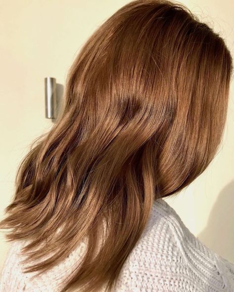 Bronze-y Brown Best Brown Hair Color, Light Golden Brown Hair, Chocolate Blonde, Best Hair Color Ideas, Golden Brown Hair Color, Amber Hair, Brown Hair Color Ideas, Golden Brown Hair, Best Hair Color