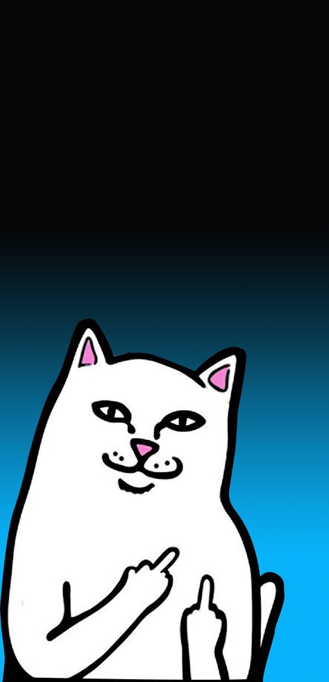 Rip N Dip Wallpaper, Rip And Dip, Ripndip Wallpaper, Ripndip Cat, Tab Wallpaper, Wallpaper Samsung Galaxy, Wallpaper Samsung, Cat Background, Iphone Wallpaper Ios