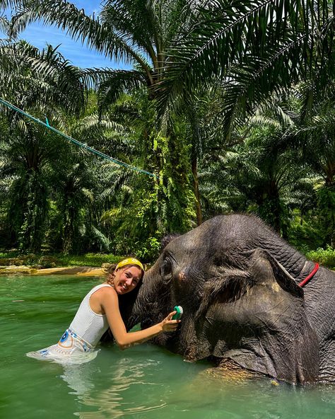 Vibes 🌴🐘🐒🤍🐠 #thailand #phuket Rawai Beach Phuket, Phuket, Thailand