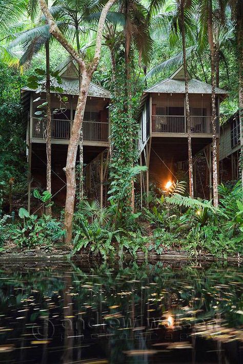 Daintree Rainforest, Eco Lodge, Australian Travel, Eco Travel, Travel Australia, In The Jungle, Queensland Australia, Romantic Travel, Cairns