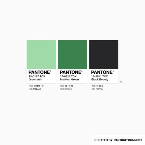 Green Ash, Medium Green & Black Beauty Pantone Green, Pantone Color Chart, Monochrome Palette, Color Pallete, Green Ash, User Experience Design, Colour Combinations, Experience Design, Ash Color