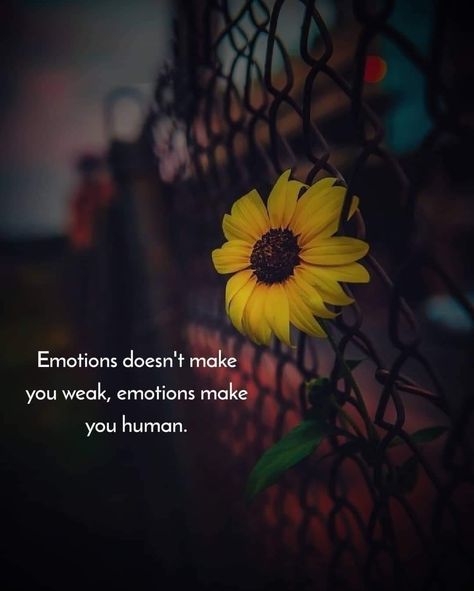 Emotion Quotes, Cute Quotes For Life, Cute Love Quotes For Him, Insightful Quotes, Cute Love Quotes, Human Emotions, Be A Nice Human, Quotes For Him, Love Quotes For Him