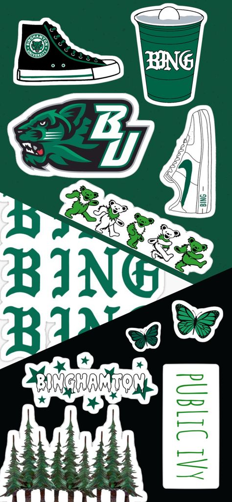 Binghamton University Aesthetic, Wild Owl, Bed Party, Background Collage, Binghamton University, Gymnastics Birthday, College Board, Pong Table, Different Seasons