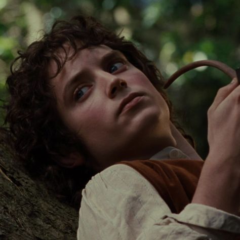 Frodo Aesthetic, Aesthetic Lord Of The Rings, Lord Of The Rings Aesthetic, Hobbit Aesthetic, Cottagecore Icons, The Fellowship Of The Ring, Ring Icon, Aesthetic 2000s, Rings Aesthetic