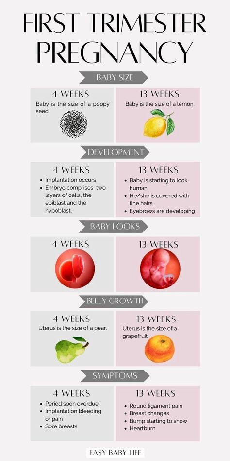 Pregnancy Planning Resources, First Trimester Symptoms, Pregnancy Test Results, Pregnancy Weeks, First Trimester Tips, Pregnancy Planning, Pregnancy Timeline, First Trimester Pregnancy, Health Pregnancy