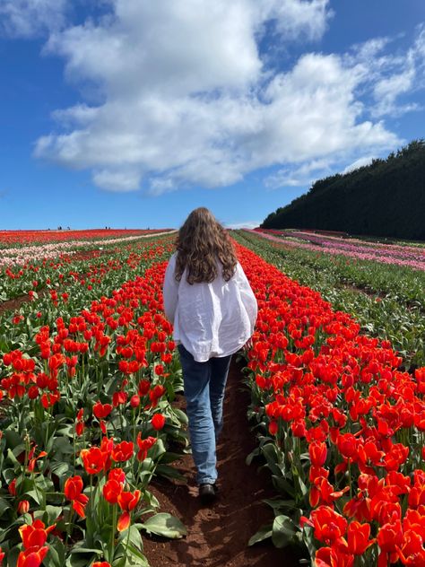 Amsterdam Tulip Fields Outfit, Tulip Field Outfit Ideas, Tulip Fields Outfit, Tulip Farm Outfit Ideas, Tulip Field Outfit, Amsterdam Tulips Outfit, Tulip Outfit Ideas, Tulip Field Pictures, Texas Tulips Outfit