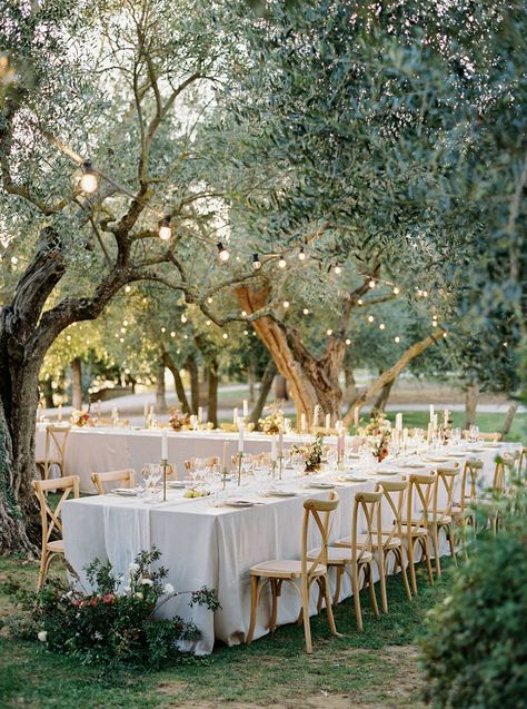 An open air wedding reception under the olive trees at Terre Di Nano. Italian Simple Wedding, Wedding With Trees, Wedding Reception Ideas Green, Open Air Wedding Reception, Olive Rustic Wedding, Spring Italy Wedding, Olive Tree Wedding Theme, Tuscany Garden Wedding, Olive Green Outdoor Wedding