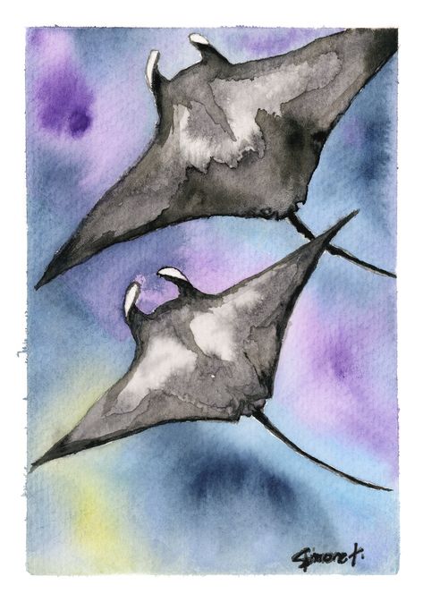 Manta Ray Painting, Manta Ray Watercolor, Manta Ray Drawing, Manatee Art, Connection Art, Manta Rays, Marine Art, Beautiful Sea Creatures, Watercolor Paintings Easy