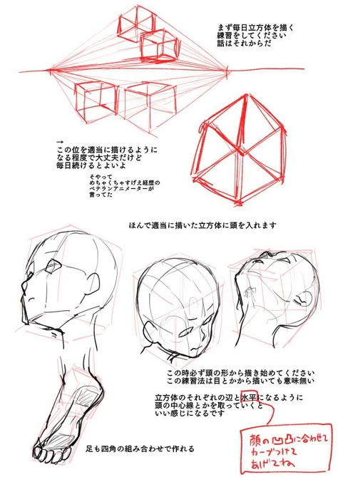 Twitter Head In Different Perspective, Cube Head Drawing, Box Perspective, Head Perspective, Stylized Faces, Drawing Perspective, Head Drawing, Perspective Drawing Lessons, Action Pose