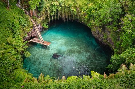 35 Places To Swim in the World's Clearest Water Ocean Trench, Diving Pool, Website Design Inspiration Layout, Sea Point, Seaside Garden, South Pacific Islands, World Inspiration, Water Pictures, Beach City