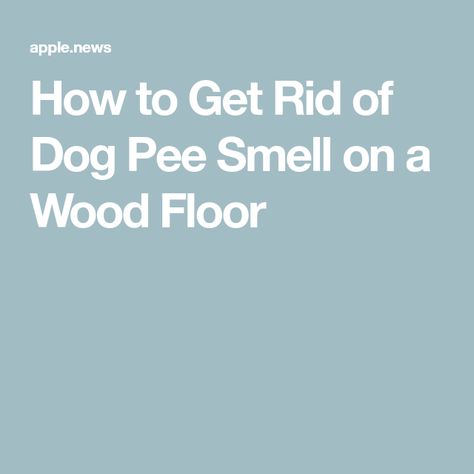 Cleaning Dog Pee, Diy Wood Floor Cleaner, Pet Urine Smell, Cleaning Pet Urine, Dog Pee Smell, Pee Stains, Pee Smell, Diy Wood Floors, Wood Floor Cleaner