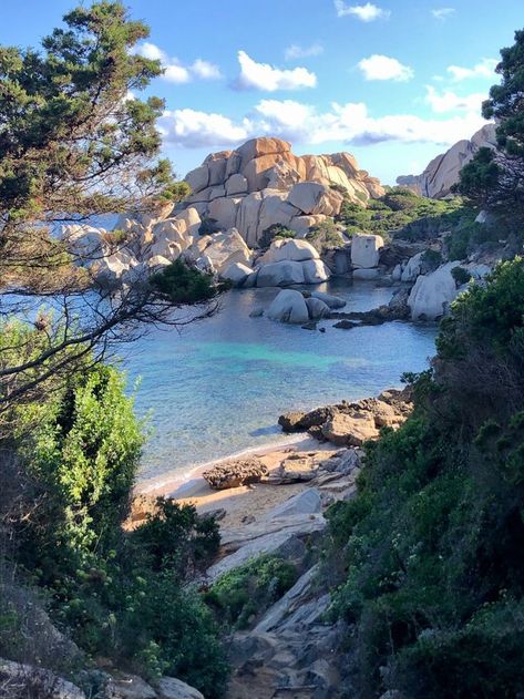 Sardinia Italy Aesthetic, Sardinia Aesthetic, Filmy Vintage, Sardinia Italy, A Beautiful Life, Dream Travel Destinations, Samar, Vacation Places, Pine Trees