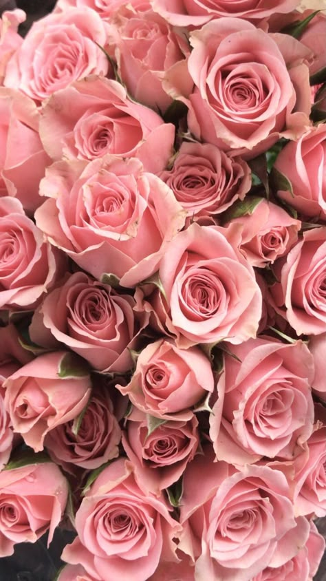 #background#wallpaper#phonebackground#phonewallpaper#screensaver#flowers#roses#pink#feminine#pretty Iphone Wallpaper Purple Flower, Flower Screensaver, Pink Rose Pictures, Rose Pink Wallpaper, Feminine Wallpaper, Pink Roses Background, Pink Feminine, Pink Flowers Background, Arte Aesthetic