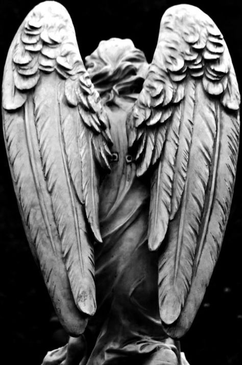 #angel wings Black And White Angel Wings, Angel Wing Statue, Angel Statues Sculpture, Asthetic Picture White And Black, White Angel Wings, Observational Drawing, Angel Sculpture, White Angel, Angel Statues