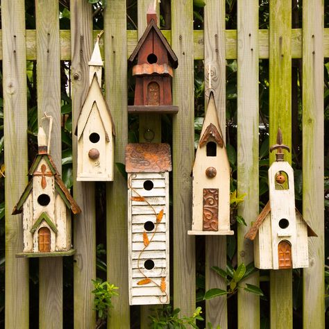 Online shopping a selection for birdhouses, handmade and hand-painted. Constructed of high-quality natural wood or metal, eco-friendly, and safe. Enjoy free shipping for all! Bird House Decor, Bird Houses For Sale, Green Roof Garden, Barn Birdhouses, Garden Birdhouses, Wood Birdhouses, Bird Nests, Bird Houses Painted, Red Cottage