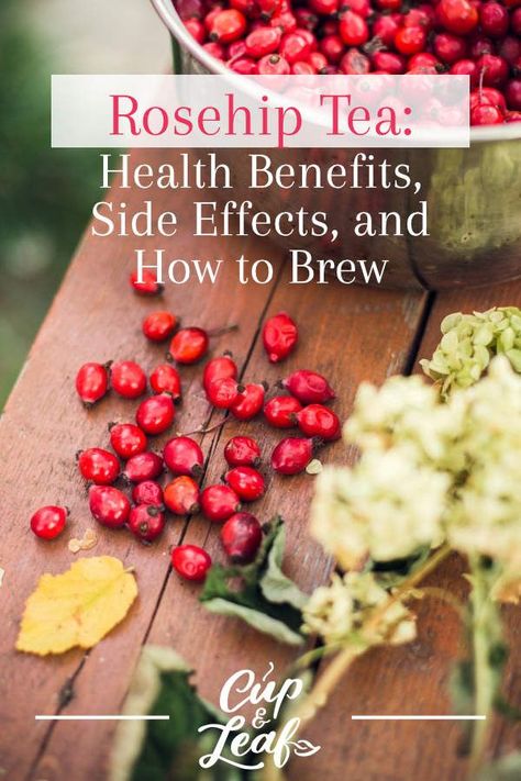 Rosehip Tea: Health Benefits, Side Effects, and How to Brew - Cup & Leaf Rose Hips Benefits, Rose Hip Tea, Rosehip Recipes, Rosehip Tea, Tea Health, Medicinal Tea, Foraged Food, About Rose, Herbal Teas Recipes