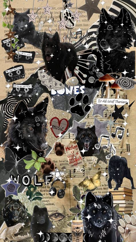 another black wolf therian wallpaper⁠✿ Vulture Culture Wallpaper, Therian Phone Wallpaper, Cute Wolf Wallpaper, Therian Room Ideas, Dragon Therian, Wolf Aesthetic Wallpaper, Black Wolf Wallpaper, Black Wolf Aesthetic, Black Wolf Therian