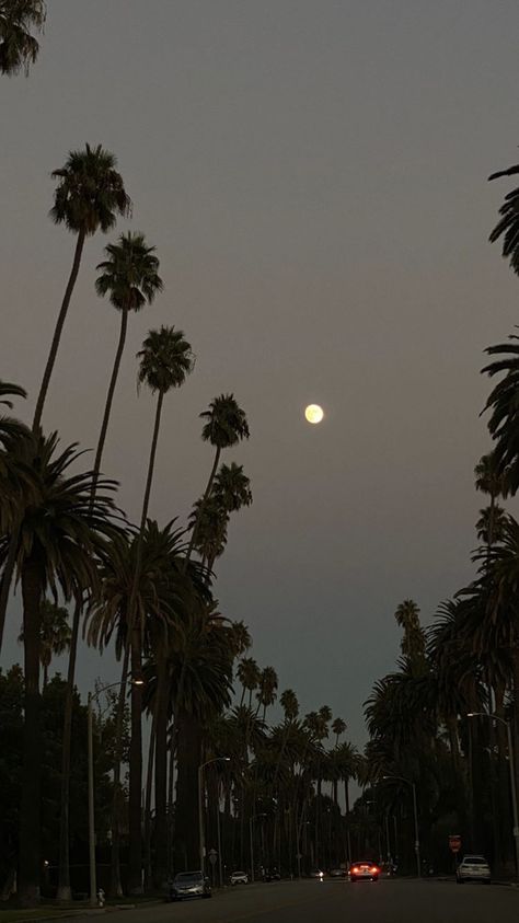 Dark California Aesthetic, Los Angeles California Photography, Los Angeles Palm Trees, La Night, Fall Board, California Vibe, Aesthetic Japan, City Of Angels, California Dreamin'