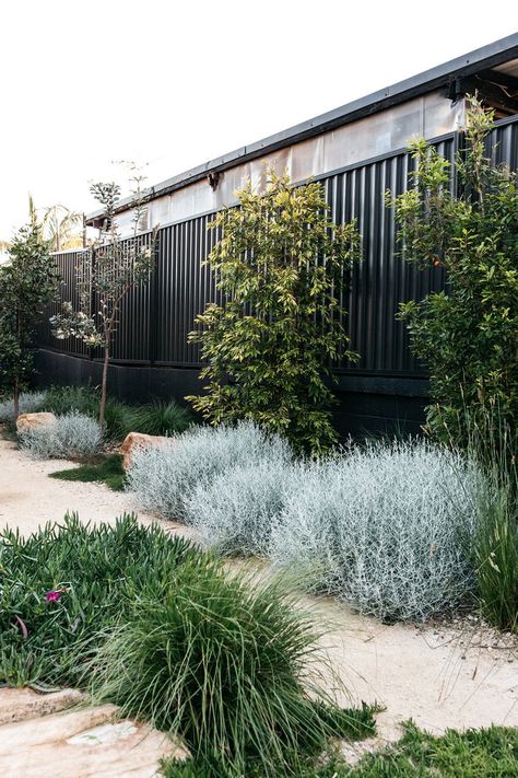 Woolooware Australian Garden Design, Australian Native Garden, Contemporary Garden Design, Front Garden Design, Landscaping Inspiration, Garden Inspo, Areas Verdes, Australian Garden, Garden Area