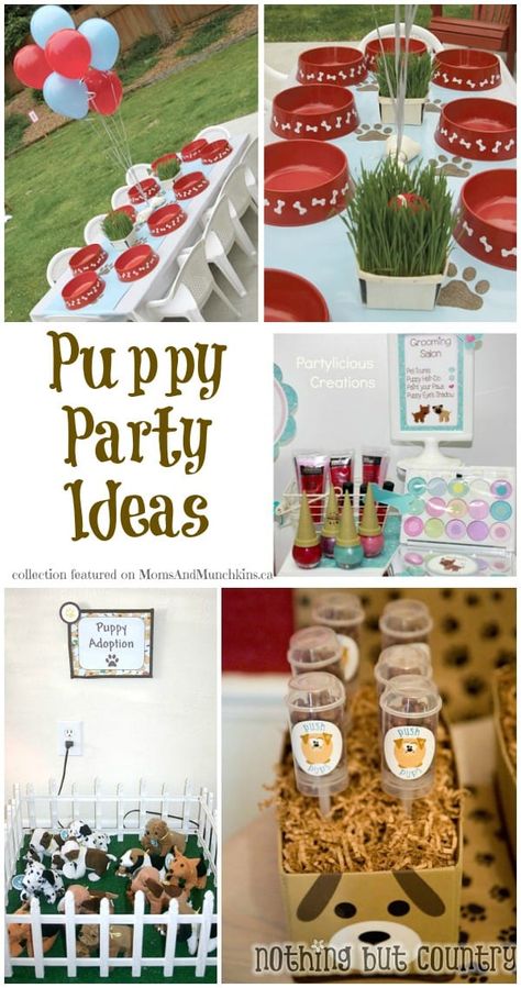 Doggie Party Ideas, Dog Birthday Centerpieces, Puppy Bowl Party Ideas, Dog Party Centerpiece Ideas, Dog Centerpiece Ideas, Puppy Centerpieces, Puppy Party Centerpiece Ideas, Dog 1st Birthday Ideas, Puppy Party Ideas