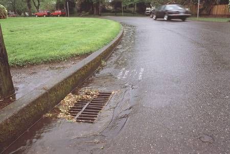 Storm Sewer Drain Astoria NY - http://www.brooklyn-drain-queens-sewer.com - 718-276-4995 Sewer Drain, Astoria Ny, Drain Cleaner, School Projects, Drain, Brooklyn, Oxford, Fish, Photography