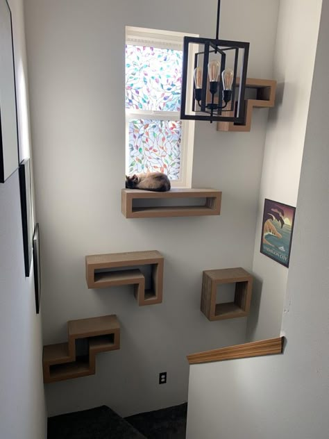 Cat shelving stairway Shelves For Cats, Floating Cat Shelves, Katt Diy, Super Pictures, Chat Sphynx, Cat Climber, Diy Floating Shelves, Cat Wall Shelves, Cat Wall Furniture