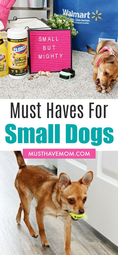 Small Dog Hacks, Dog Toys For Small Dogs, Small Dog Must Haves, Small Dog Supplies, Stuff For Dogs, Puppy Tricks, Dog Essentials Products, Toys For Small Dogs, Small Dog Accessories