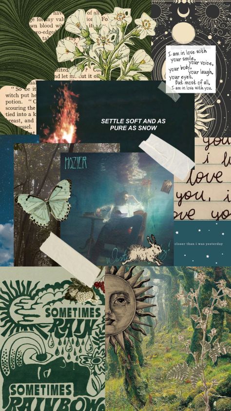 Would That I Hozier Aesthetic, Would That I Hozier, Hozier Art, Hozier Poster, Hozier Concert, Noah Kahan, Aesthetic Dark Academia, Room Deco, Typographic Poster