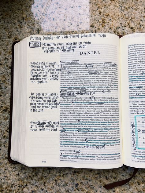 The Book Of Daniel Bible Study, Daniel 1 Bible Journaling, Bible Devotional Plan, Books Of The Bible To Read, Book Of Daniel Bible Study, Daniel Bible Journaling, Daniel Bible Study, How To Read The Bible, Bible Notes Aesthetic