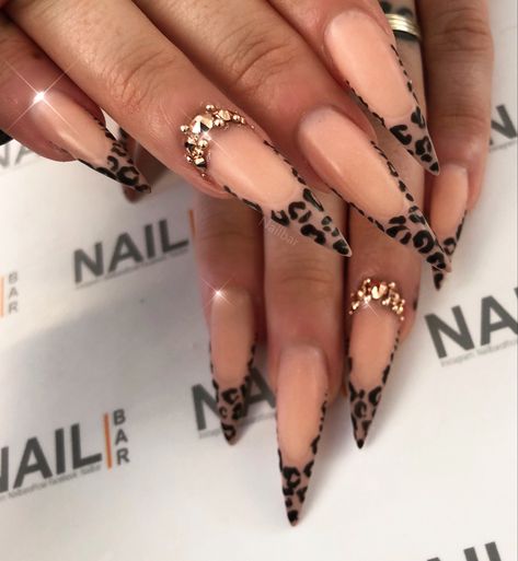 Stalitoes Nails Short, Leopard Print Nails Stiletto, Leapord Print Acrylic Nails Long, Stilleto Cheetah Nails, Stiletto Nails Cheetah, Leopard Print Stiletto Nails, Stiletto Leopard Nails, Cheetah Print Stiletto Nails, Stiletto Cheetah Nails