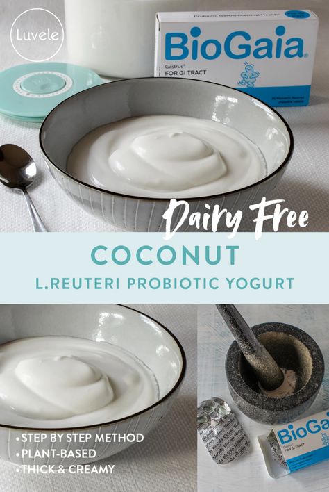 STEP BY STEP L.REUTERI COCONUT YOGURT RECIPE - Luvele US Coconut Greek Yogurt Recipe, Indigo Nili, Luvele Recipes, Coconut Yoghurt Recipe, L Reuteri Yogurt, Coconut Yogurt Recipe, Food Dairy Free, Yogurt Homemade, Homemade Yogurt Recipes