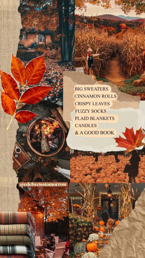 @edelweisstomorrow #autumn #fall #aesthetic #vintage #nature #vibes #books #wallpaper #art #quotes #pumpkin Fall Aesthetic Vintage, Autumn Fall Aesthetic, Books Wallpaper, Quote Collage, Halloween Wallpaper Cute, Nature Vibes, Fall Mood Board, Collage Book, Autumn In New York