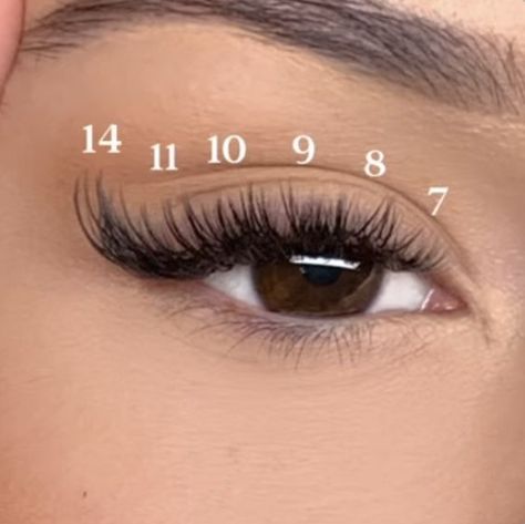 Cat Eye Wispy Lash Extensions Hybrid, Cat Eye Lash Clusters, Short Classic Lash Extensions, Open Eye Lash Map, Short Cat Eye Lash Extensions, Wispy Cat Eye Lash Extensions Map, Aesthetician Tips, Eyelash Extensions Cat Eye, Volume Cat Eye Lash Extensions