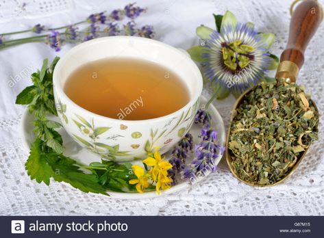 Nerves and calming tea, Sweet orange blossom, Balm, St John’s wort, Amber, Lavender, Hop, Passion flower herb / (Melissa officinalis), (Passiflora incarnata), (Citrus sinensis), (Hypericum perforatum), (Humulus lupulus), (Lavandula angustifolia) Stock Photo Passionflower Tea Benefits, Passionflower Herb Benefits, Passion Flower Tea, Hypericum Perforatum, Passiflora Trifasciata, Melissa Officinalis, Humulus Lupulus, Passiflora Edulis, Passiflora Incarnata