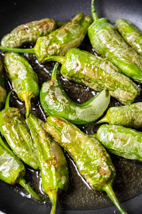 Best Padron Peppers Recipe - How to Cook Pimientos de Padron - Spanish Sabores Padron Peppers Recipe, Vegetarian Tapas, Padron Peppers, Green Pepper Recipes, Spanish Cooking, Fried Peppers, Tapas Menu, Pepper Recipe, Tapas Recipes