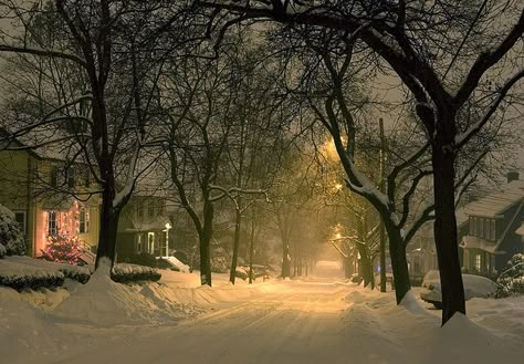 Snowy night by halmorgan, via Flickr  Reminds me of my childhood in Ohio.  Back when it was always snowy at Christmas time! Era Victoria, Winter Schnee, Snow Pictures, Snow Covered Trees, Winter Photos, Winter Love, Winter Magic, Winter Scenery, Winter Beauty