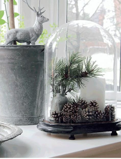 #bell #jars, #glass bell jars, bell jar #decorating #ideas, bell jars #display, #cloche bell jars, cloche #bell jar ideas, decorating with glass cloches, bell jars #amazon, #Christmas #Ornament Natal Natural, Cloche Decor, Jul Diy, Scandinavian Christmas Decorations, Christmas Village Display, Christmas Crafts To Make, Natural Christmas, Rustic Christmas Tree, Wrapping Ideas