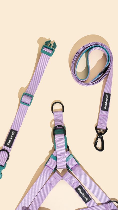 THE DAISY KIT IS HERE! 💖 and our dog leash, harness, and collar are rocking those vibrant vibes! Soft lilac webbing paired with a contrasting teal padded handle for your absolute comfort during those epic walks with your best bud. Now, even the little pups can strut their stuff with XS sizes and the choice of back and front clips! Let's hit the pavement in style! Dog Walk, Best Bud, Dog Collars, Eco Conscious, Dog Leash, Dog Walking, Dog Friends, The Struts, Lilac