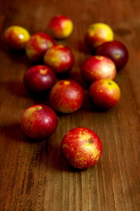 The high content of vitamin C in camu camu stimulates the defenses in the body. Camu Camu, The High, The Body, Vitamin C, Peru, Vitamins, Seeds, Fruit, Red