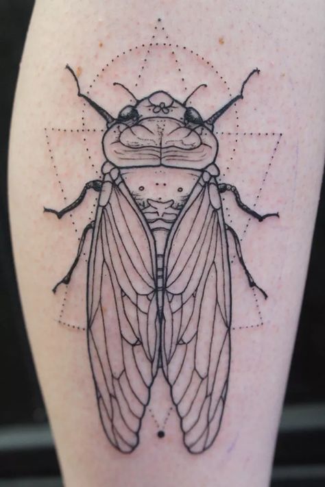 Insects Tattoo, Cicada Tattoo, Ant Tattoo, Beetle Tattoo, Insect Tattoo, Bug Tattoo, Stick N Poke, Summer Tattoo, Muster Tattoos