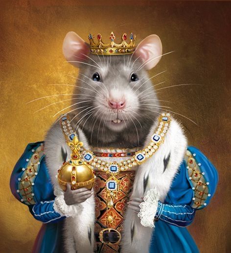 Ballet Nutcracker, Rat King, Mouse Illustration, Paper Mache Animals, Mouse King, Keychain Pattern, Native American Pictures, Animal Portraits Art, Cute Rats