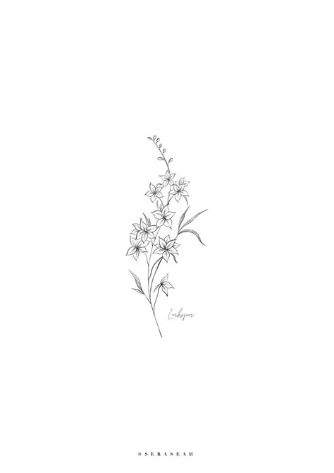 Larkspur Tattoo Design, Larkspur Flower Drawing, Flower Tattoo Larkspur, Larkspur Birth Flower, July Birth Flower Tattoo Larkspur, Benjamin Tattoo, July Tattoo Ideas, July Flower Tattoo, Larkspur Flower Tattoo